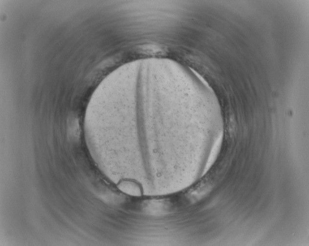 X0000078310320200611251540