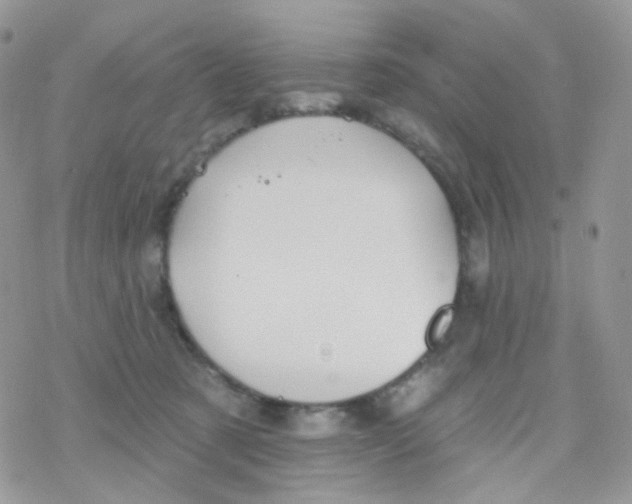 X0000078310321200611251540