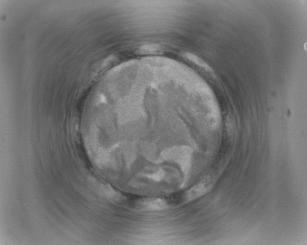 X0000078310322200611251540