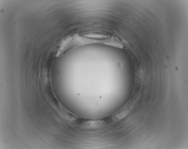 X0000078310323200611251540