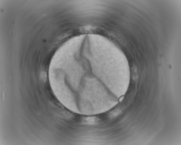 X0000078310324200611251540