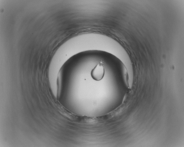 X0000078310325200611251540