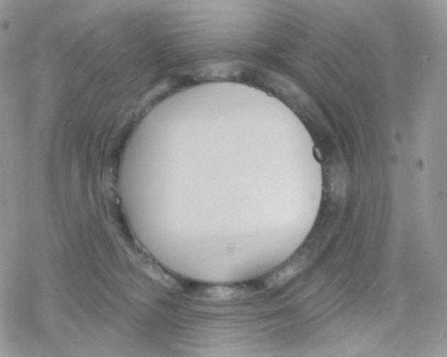 X0000078310326200611251540