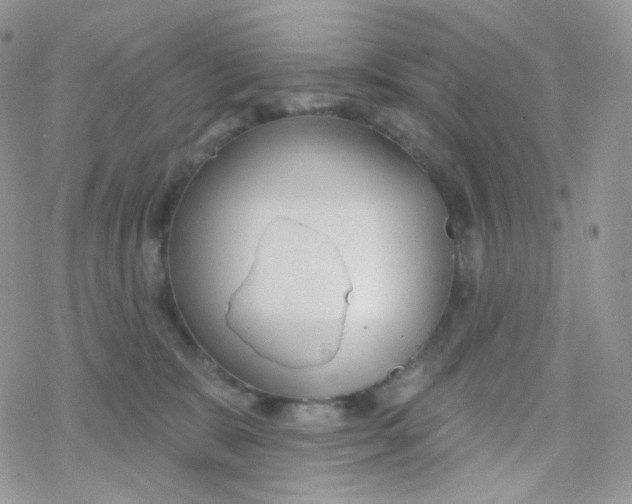 X0000078310327200611251540