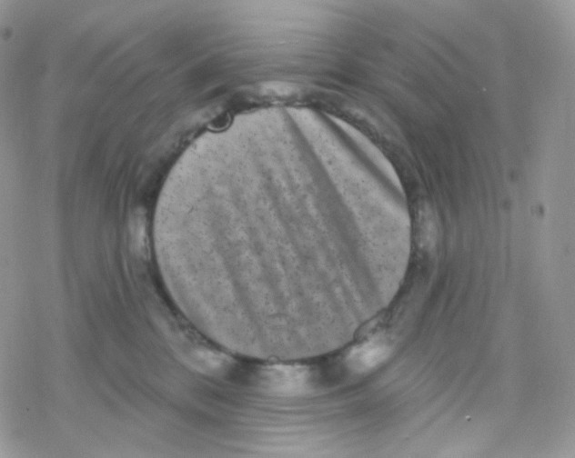 X0000078310328200611251540