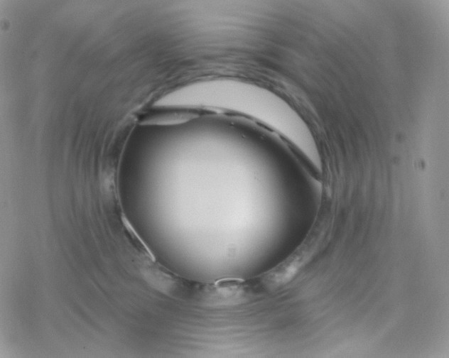 X0000078310329200611251540