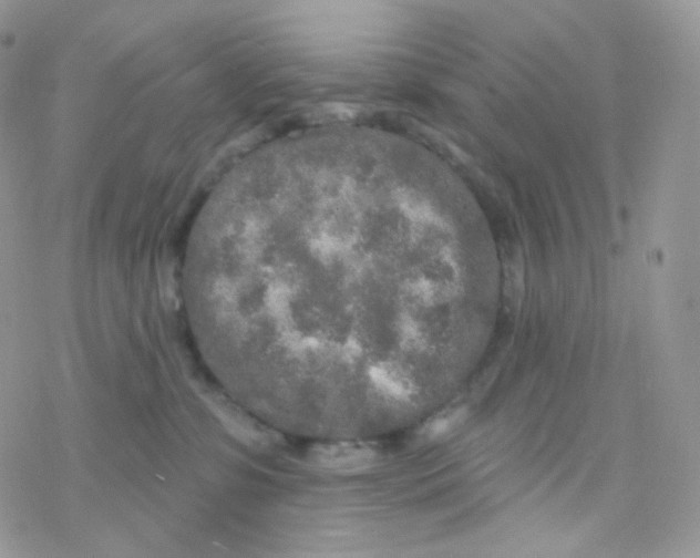 X0000078310331200611251540