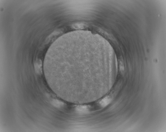 X0000078310332200611251539