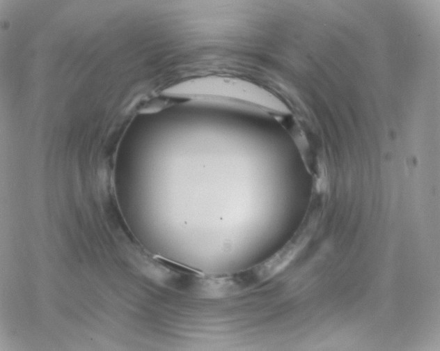 X0000078310333200611251539