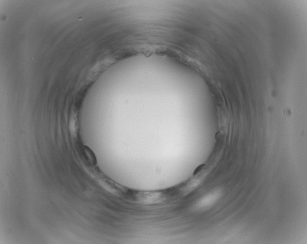 X0000078310334200611251539