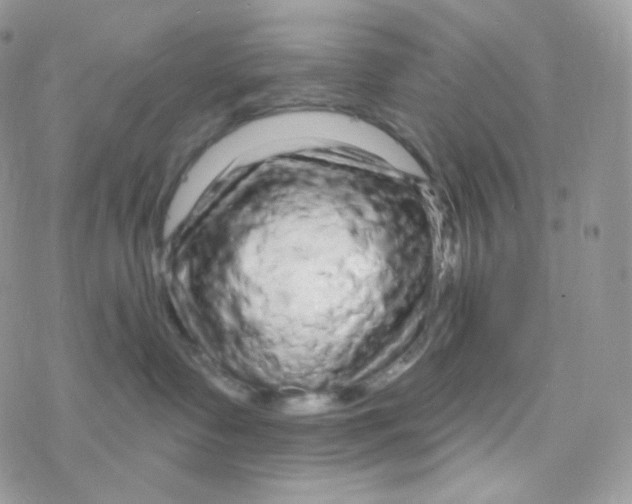 X0000078310335200611251539