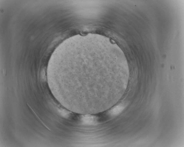 X0000078310336200611251539