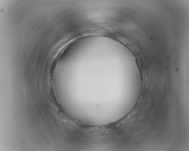 X0000078310338200611251539