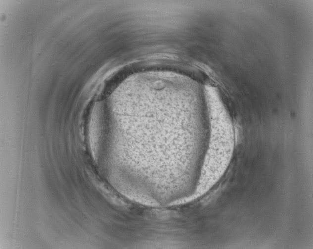 X0000078310339200611251539