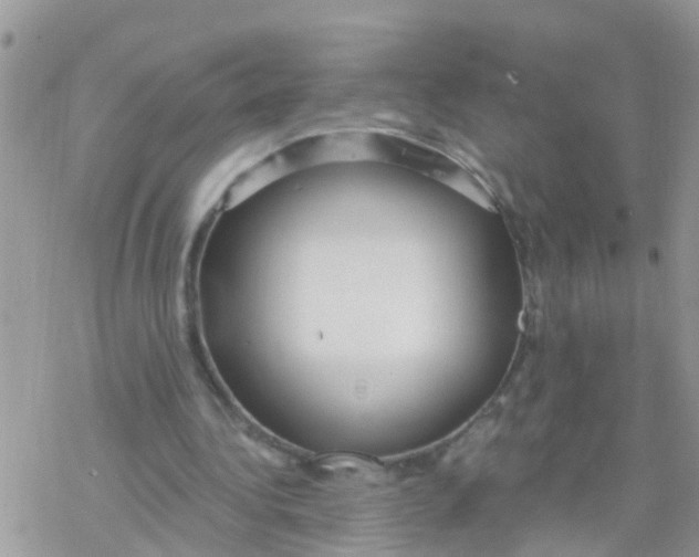 X0000078310340200611251539