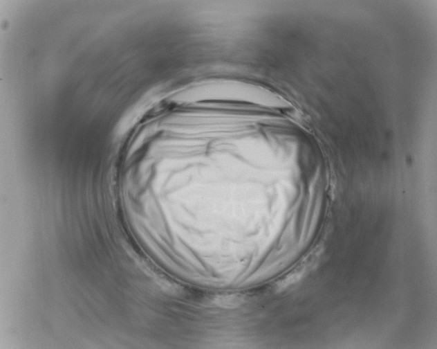 X0000078310341200611251539