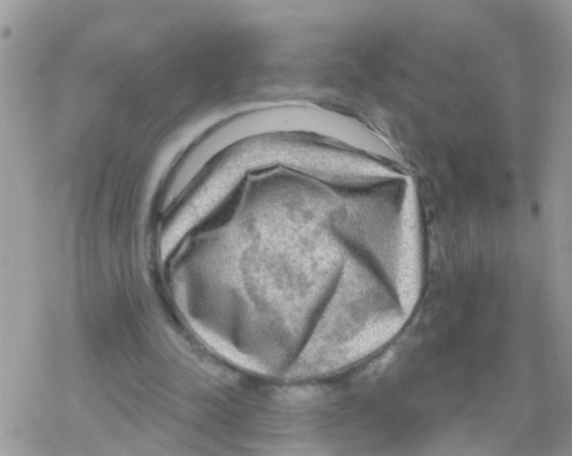 X0000078310342200611251539