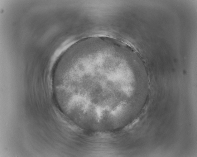 X0000078310343200611251539