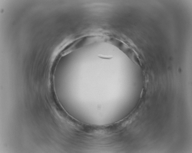 X0000078310344200611251539