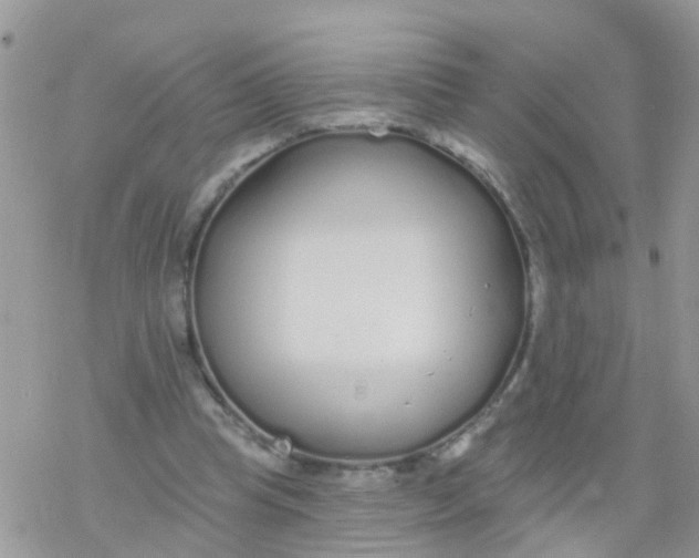 X0000078310345200611251539