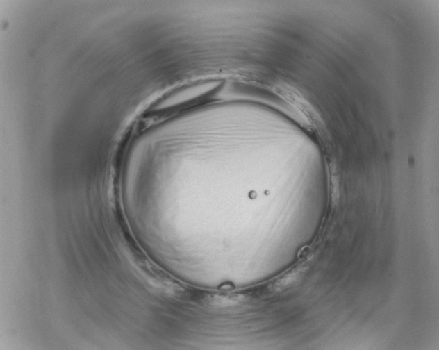 X0000078310346200611251539