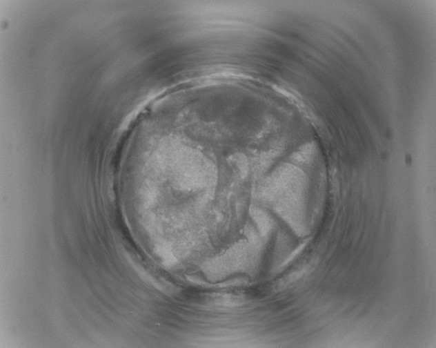 X0000078310347200611251539