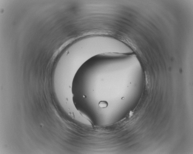 X0000078310348200611251539