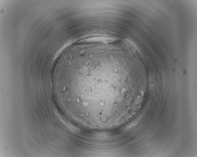 X0000078310349200611251539