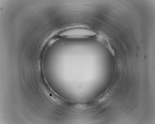 X0000078310350200611251539