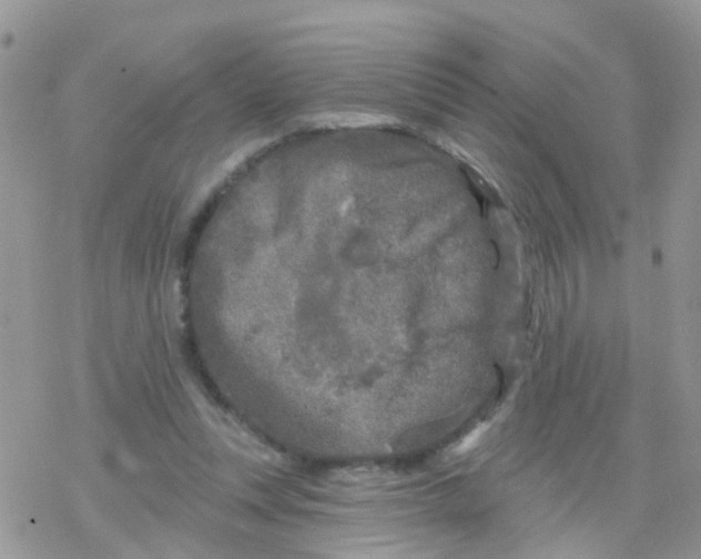 X0000078310351200611251539