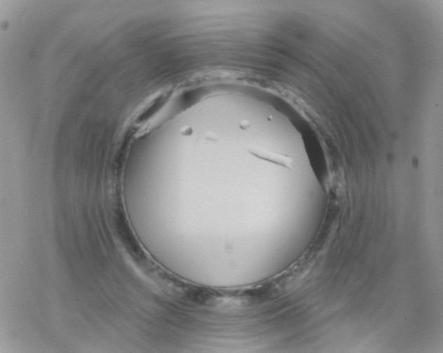 X0000078310352200611251539