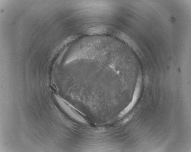 X0000078310353200611251539