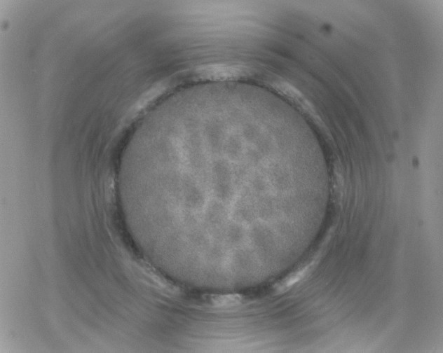 X0000078310355200611251539