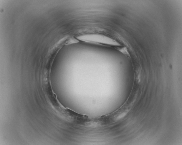 X0000078310356200611251539