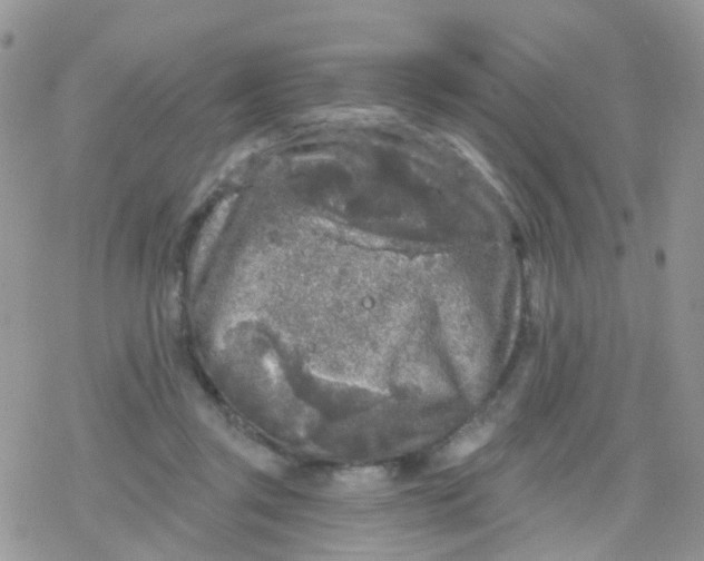 X0000078310357200611251539