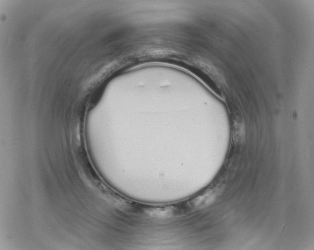 X0000078310358200611251539