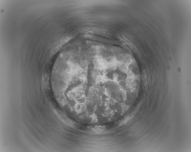 X0000078310359200611251539