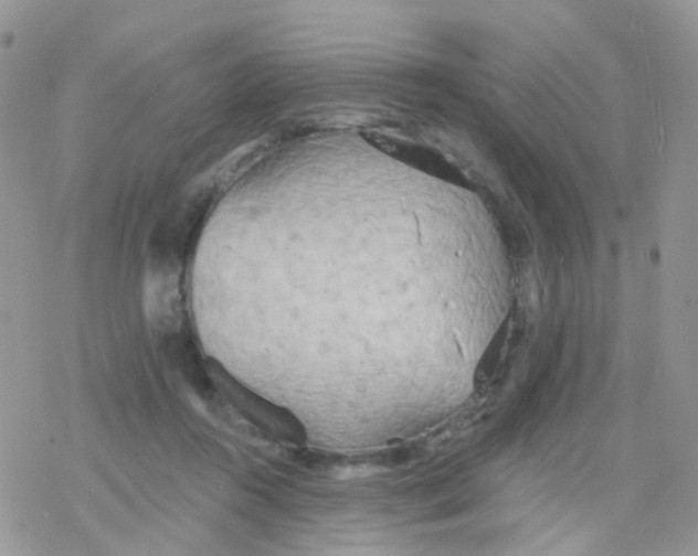 X0000078310360200611251539