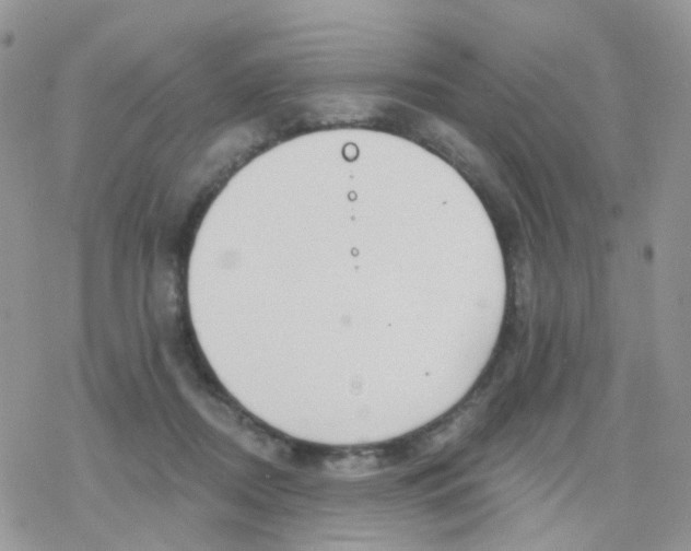 X0000078310362200611251539