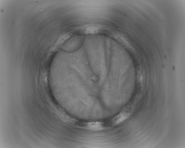 X0000078310363200611251539