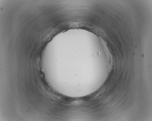 X0000078310364200611251539