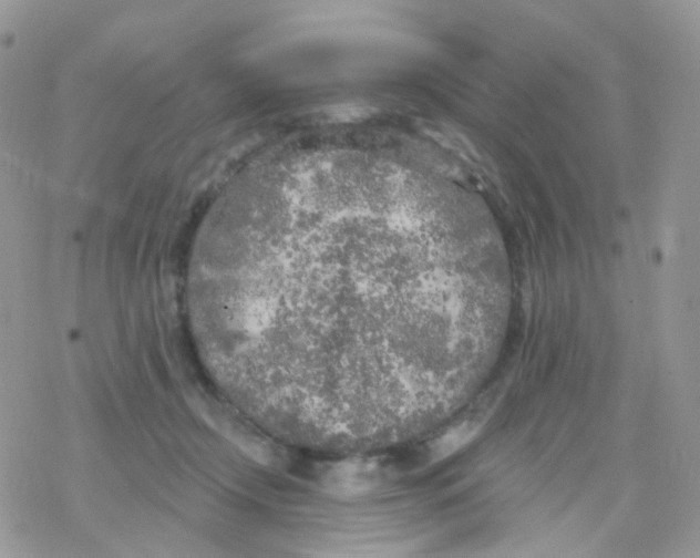 X0000078310366200611251539