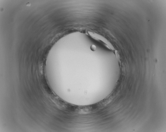 X0000078310368200611251539