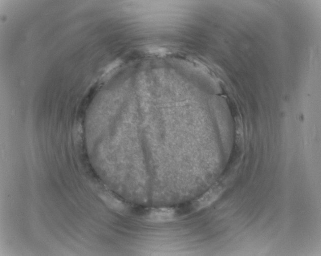 X0000078310369200611251539