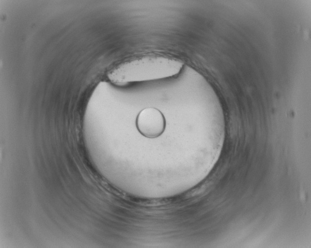 X0000078310370200611251539