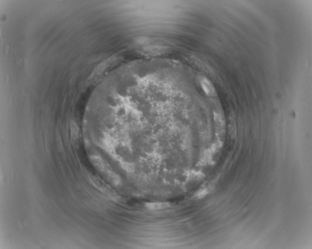 X0000078310371200611251539