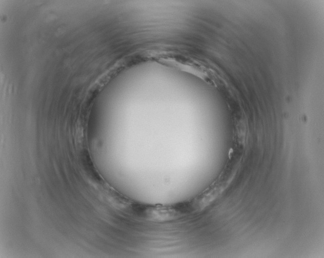 X0000078310372200611251539