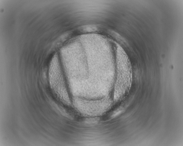 X0000078310373200611251539