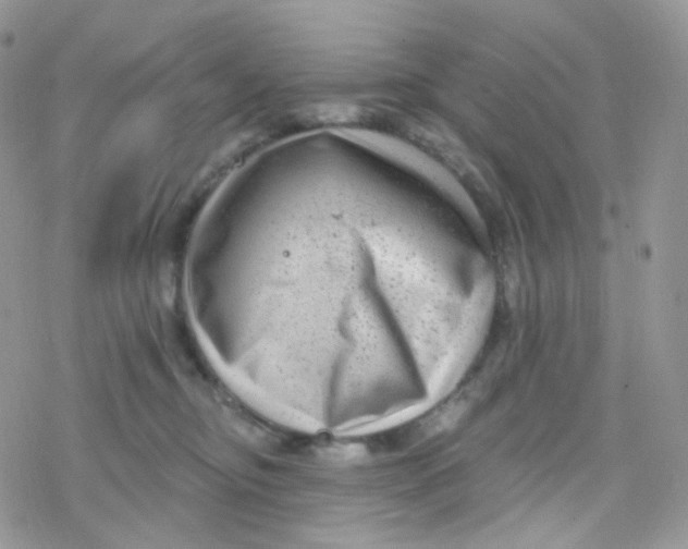 X0000078310374200611251539