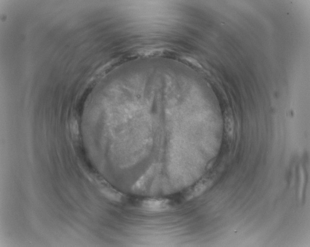 X0000078310375200611251539